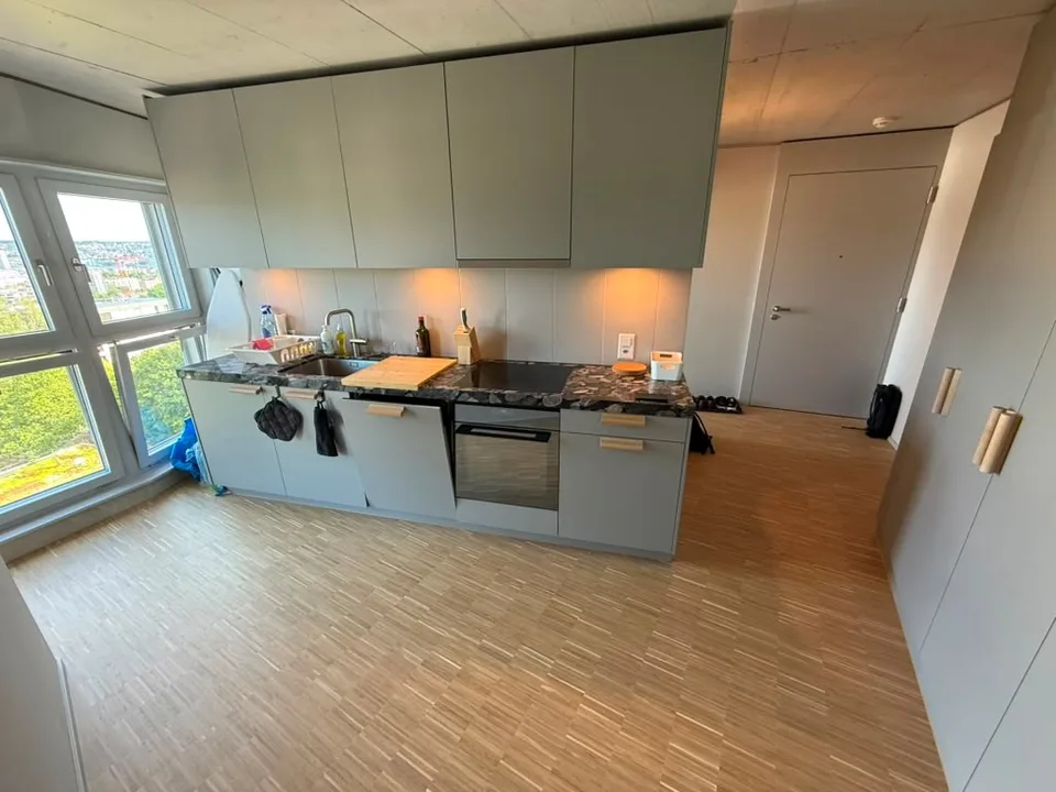 Appartement loft stylé 2.5 pièces - 9e étage à Zürich-Triemli