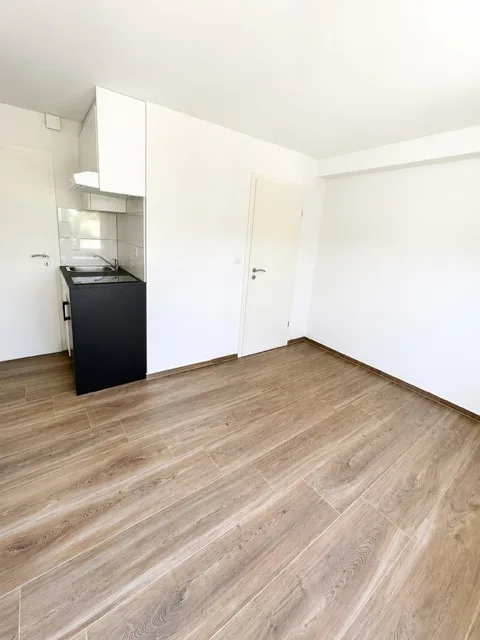 Charmant appartement rénové d'une pièce à Münchenstein