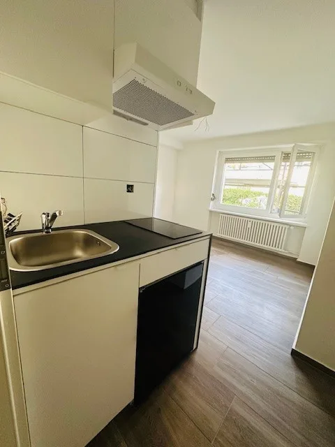Charmant appartement rénové d'une pièce à Münchenstein