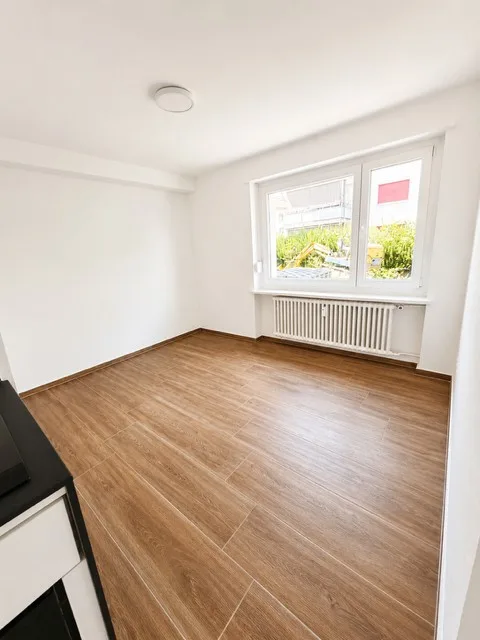 Charmant appartement rénové d'une pièce à Münchenstein