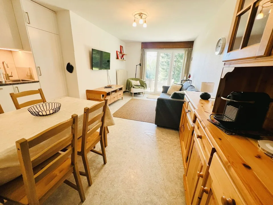 Magnifique 3.5 pièces rénové - Spacieux et lumineux - Lieu calme - Très bien placé - Belle vue