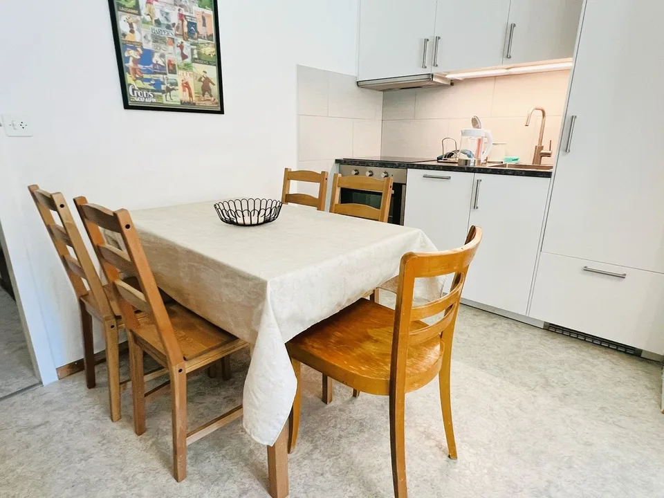 Beautiful 3.5 rooms renovated - Spacious and bright - Quiet location - Very well located - Beautiful view