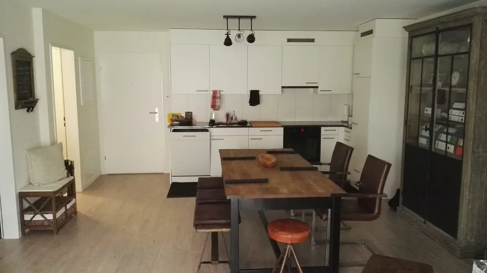 Modern apartment with garden seating