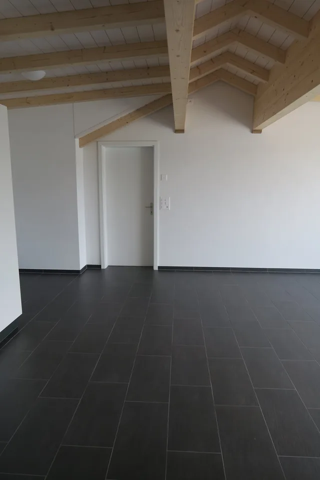 Attic apartment with great view