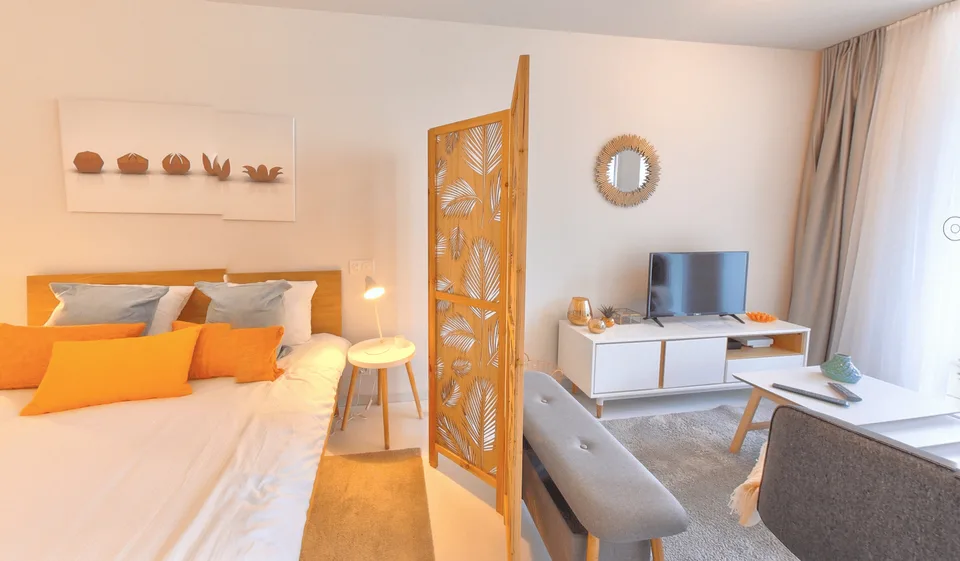 Furnished Premium studio with parking space available - Nyon