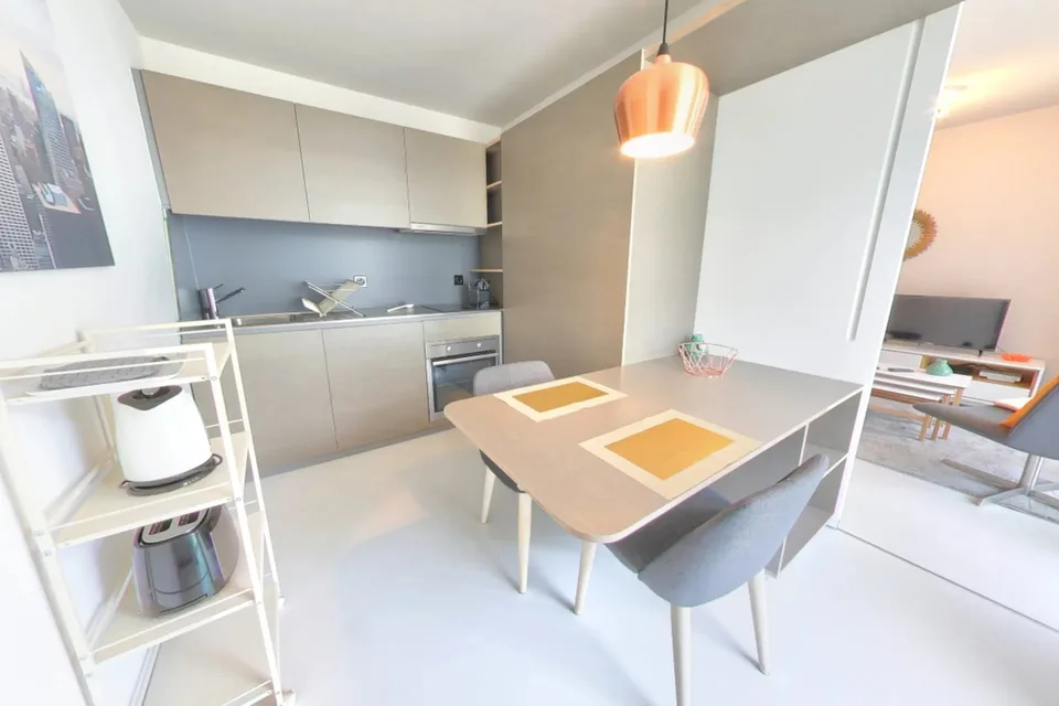 Furnished Premium studio with parking space available - Nyon