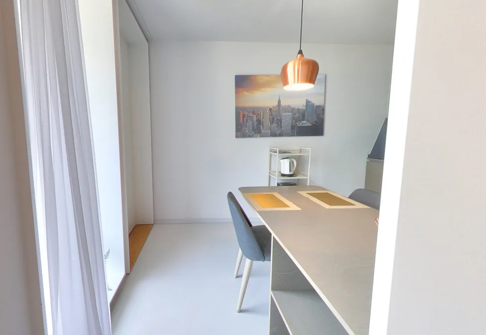 Furnished Premium studio with parking space available - Nyon – photo 6 sur 8