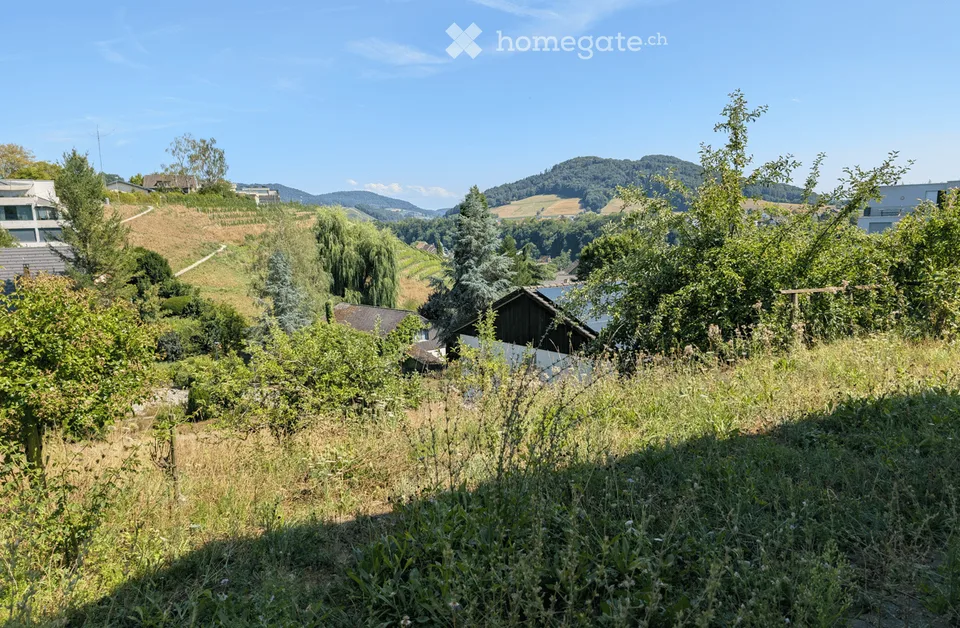 Charmantes 4.5-Zimmer-Einfamilienhaus mit grossem Gartenparadies und separater Garage in Eglisau