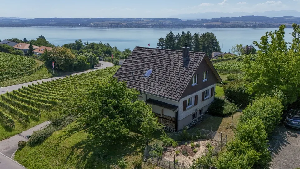 Belle villa soignée avec vue sur le lac et les montagnes