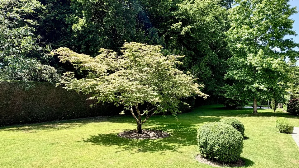 Una proprietà eccezionale da reinventare, nel cuore di un'oasi verde