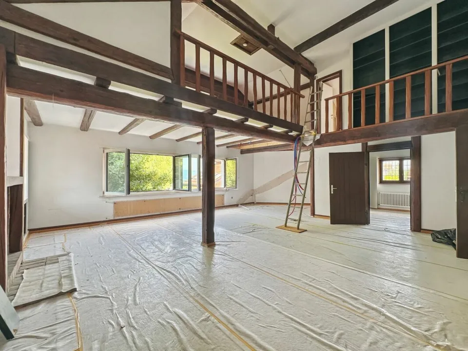 Eigentum atypisch auf über 6'000 m2 in Renovierung, nicht unterliegt der LDFR – Foto 8 von 16