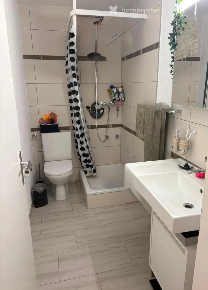 Charmant appartement 3.5 pièces avec balcon et vue à Winznau