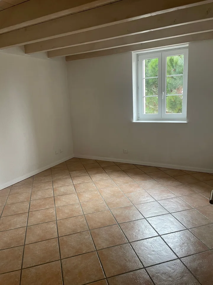 Charmant appartement Centre Etoy