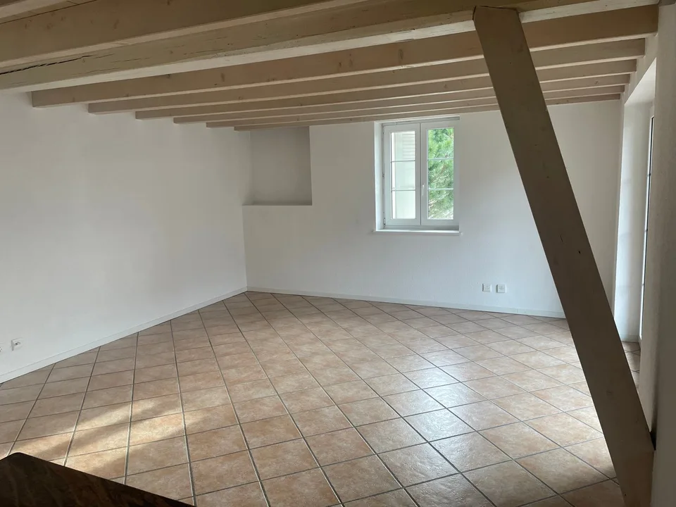 Charmant appartement Centre Etoy