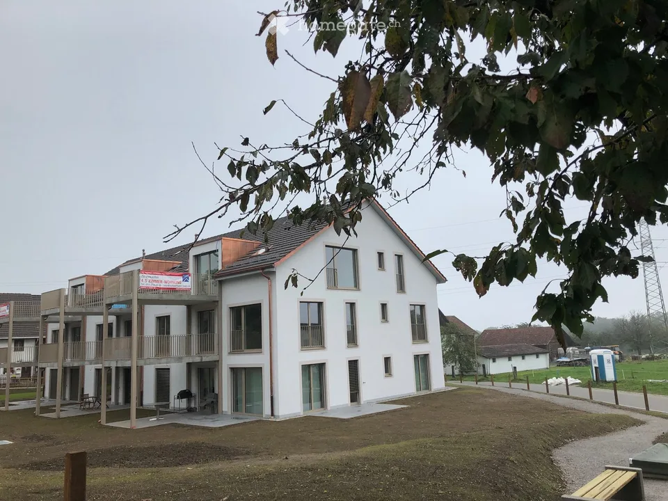 Moderne 4.5-Zimmer-Wohnung in Winterthur