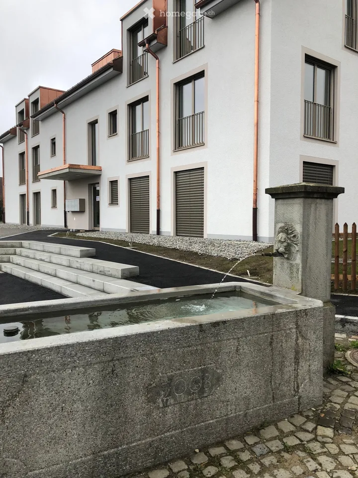 Moderne 4.5-Zimmer-Wohnung in Winterthur