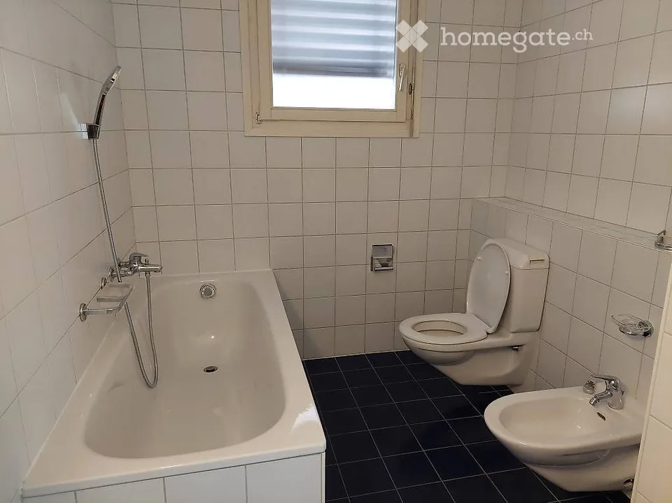Miete helles 2.5-Zimmer- und 4.5-Zimmer-Wohnung