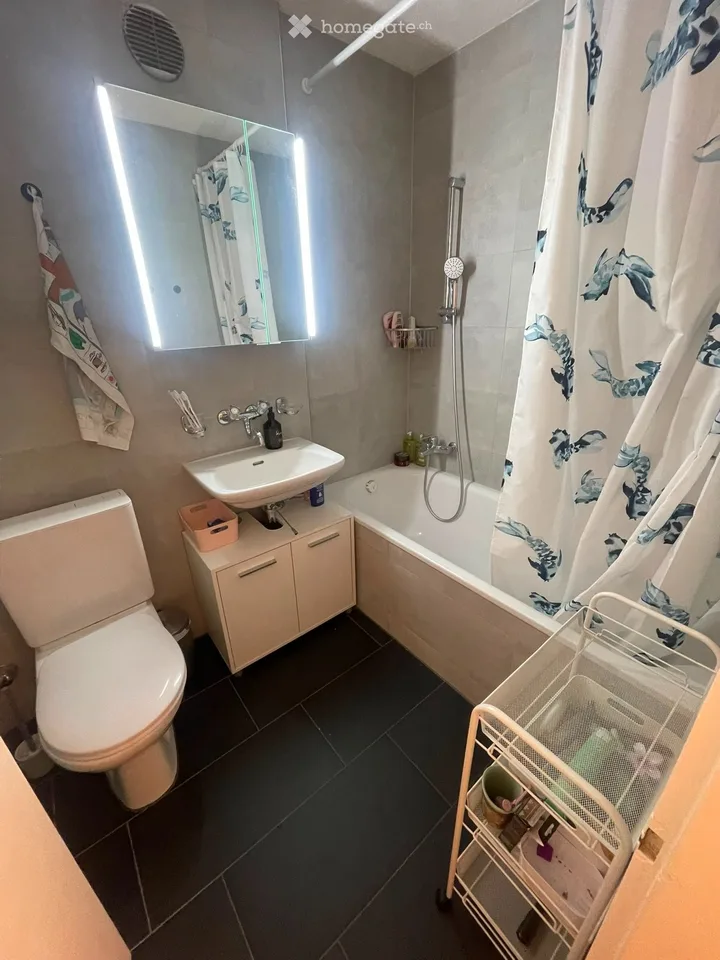 Nachmieter gesucht: Wohnung in Olten