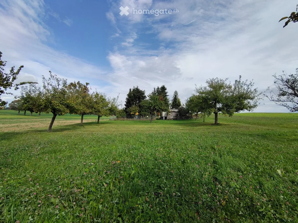 Magnifique appartement de 4,5 p. jardin et vue panoramique