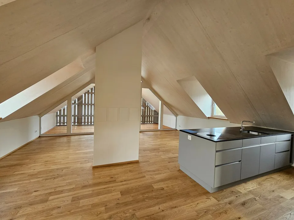 Primo affitto - appartamento moderno 2.5 locali con balcone loggia a Sissach