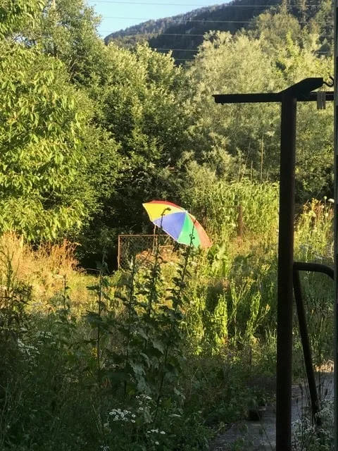 Liebhaberobjekt direkt am Bach mit grossem Garten, Scheune und eigenem Badeplatz