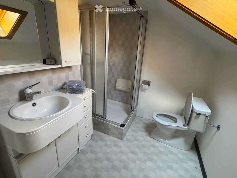 Frisch renovierte Dachwohnung