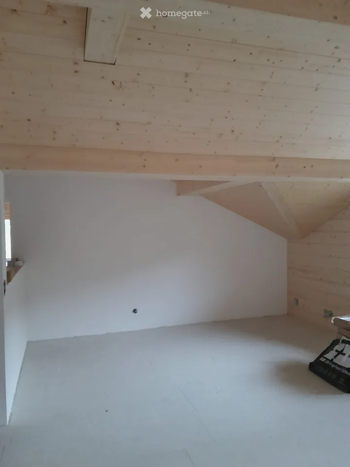 Newly renovated apartment