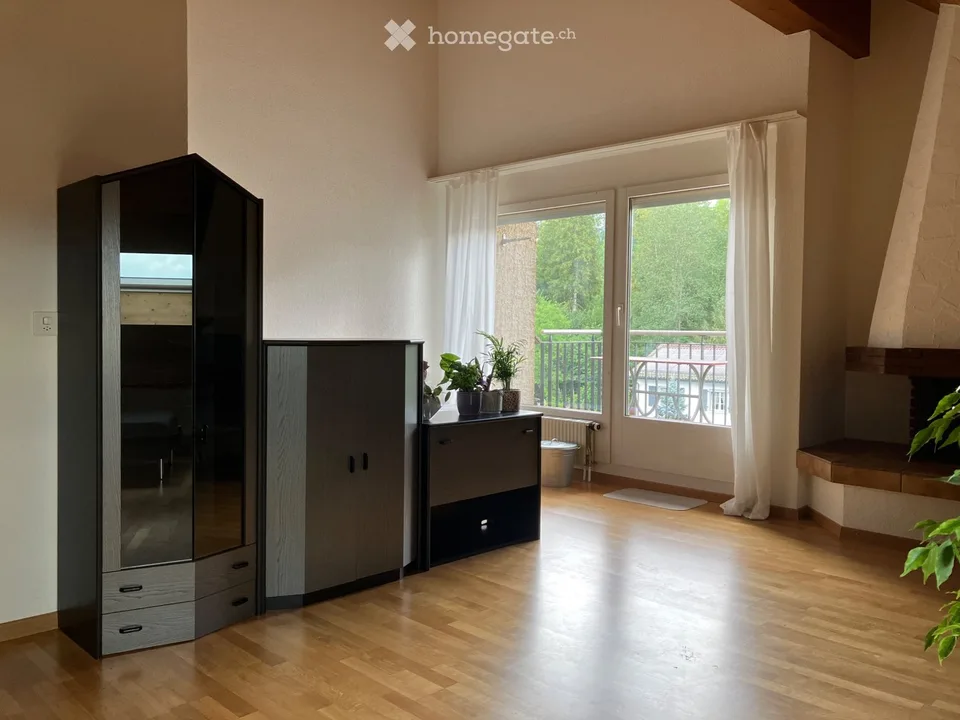 Vermietung 3.5 Zimmer Dachwohnung