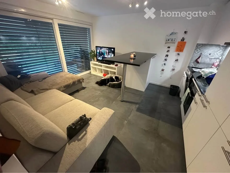 Magnifique 2.5 récent, rez-de-jardin avec grande terrasse
