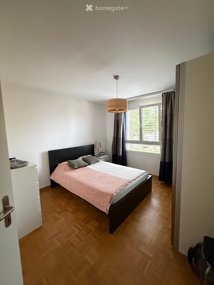 Reprise de bail - appartement 4.5 pièces Août/Septembre