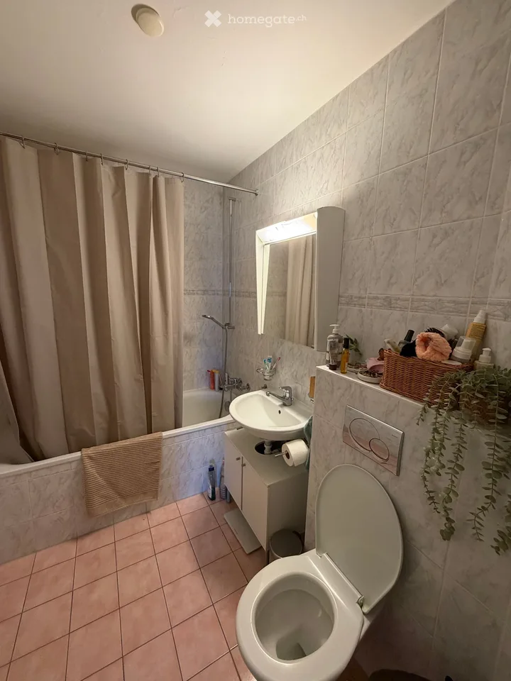 Reprise de bail - appartement 4.5 pièces Août/Septembre