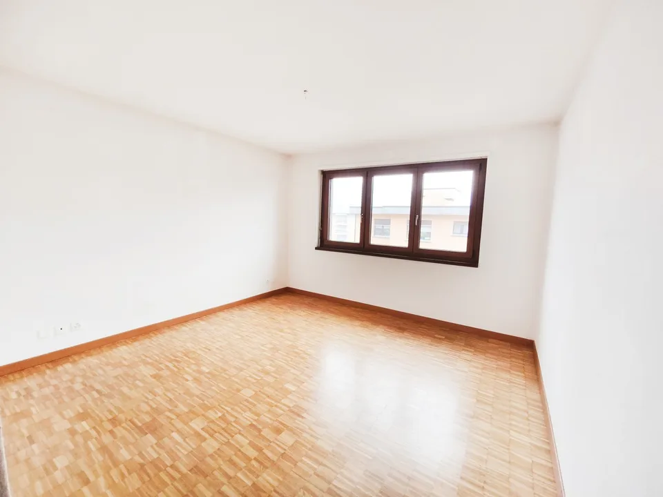 Top floor 4.5 renovated with terraces and lake view