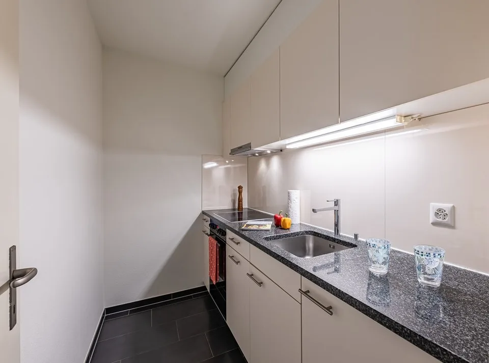 APPARTAMENTO IDEALE PER SINGLE NEL QUARTIERE DI HIRZBRUNNEN