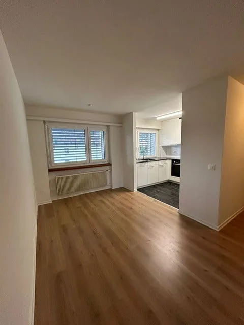 Renovated 4.5-room apartment with large balcony (on 2nd floor)