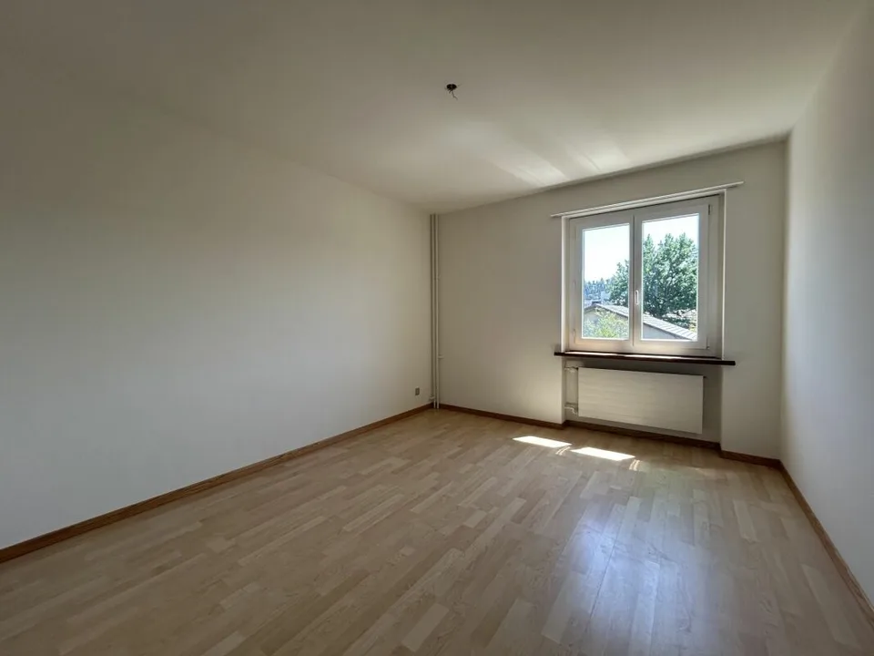 Charmant appartement 3.0 pièces au 1er étage