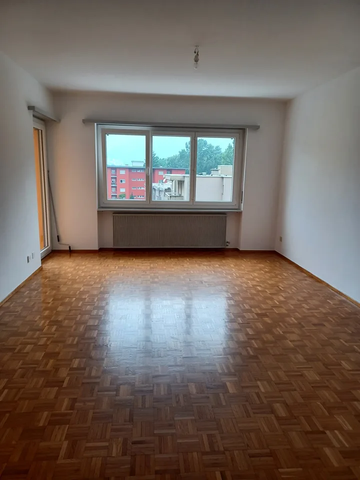 Helles 3.5-Zimmer-Apartment in Arbedo-Castione