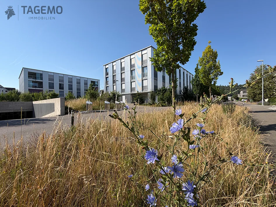 Neuwertige Attikawohnung mit verglaster Loggia, zwei Bädern und hochwertigem Ausbau