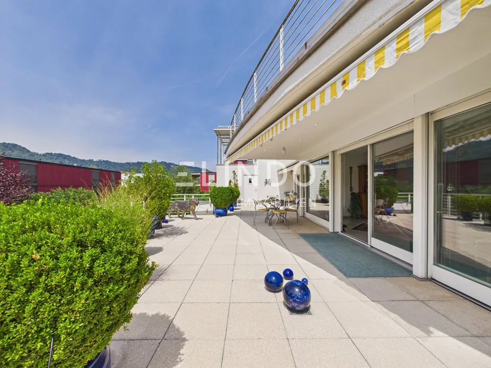 Grosszügige Terrassenwohnung mit Doppelgarage - Adliswil