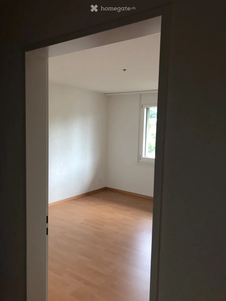 Helle 2.5-Zimmer-Wohnung mit Balkon in Winterthur