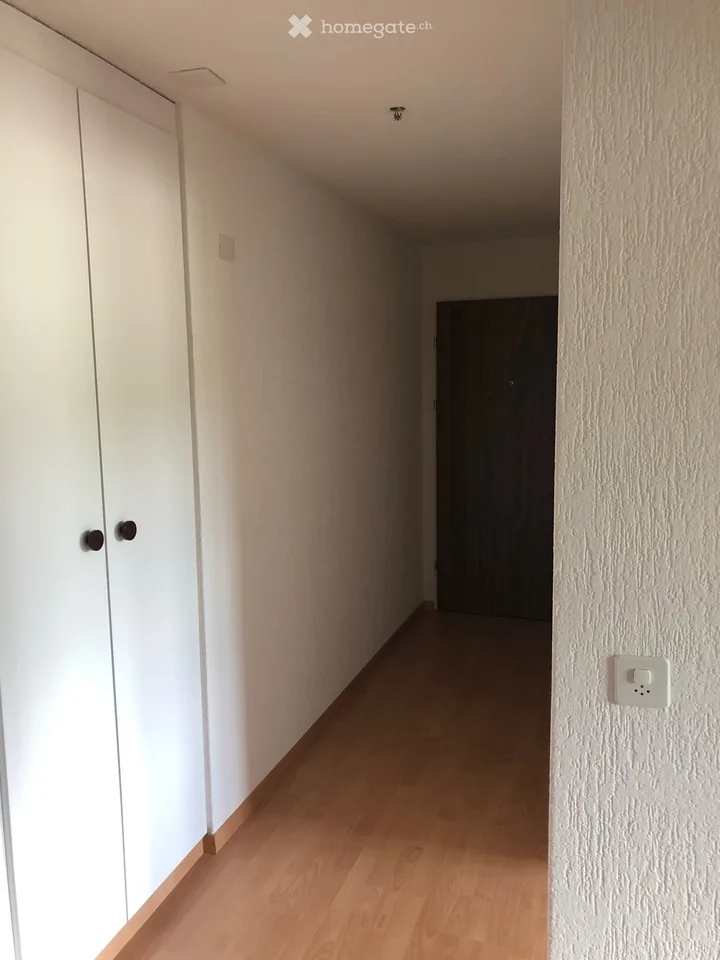 Helle 2.5-Zimmer-Wohnung mit Balkon in Winterthur