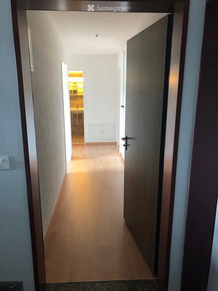 Helle 2.5-Zimmer-Wohnung mit Balkon in Winterthur