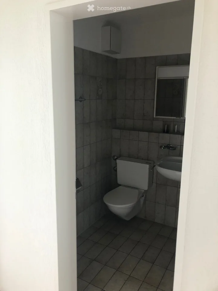 Helle 2.5-Zimmer-Wohnung mit Balkon in Winterthur