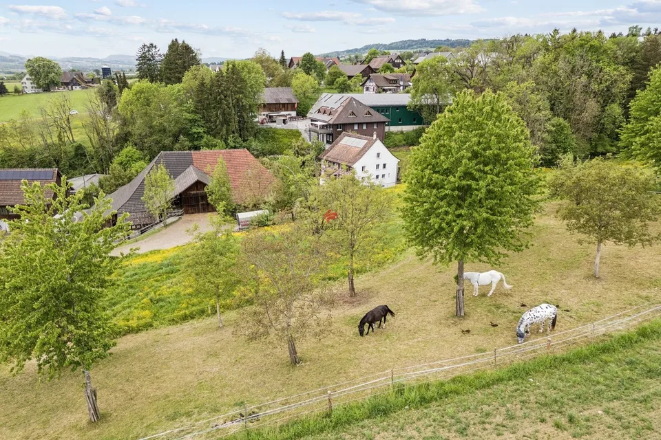 (Ausbau-)Träume verwirklichen