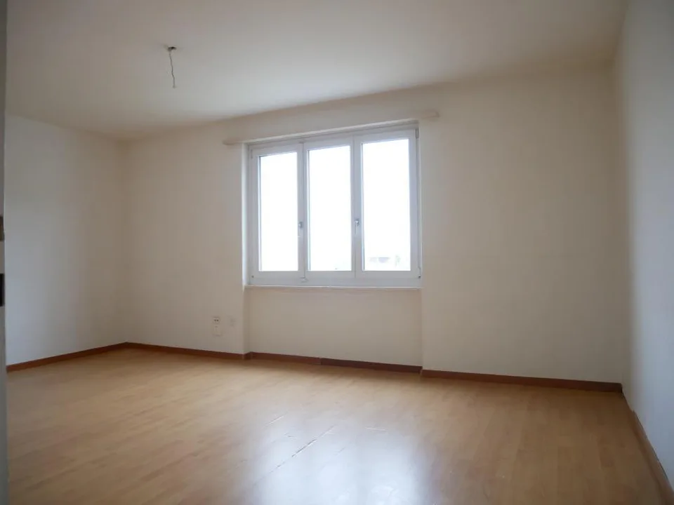 Cozy apartment with balcony