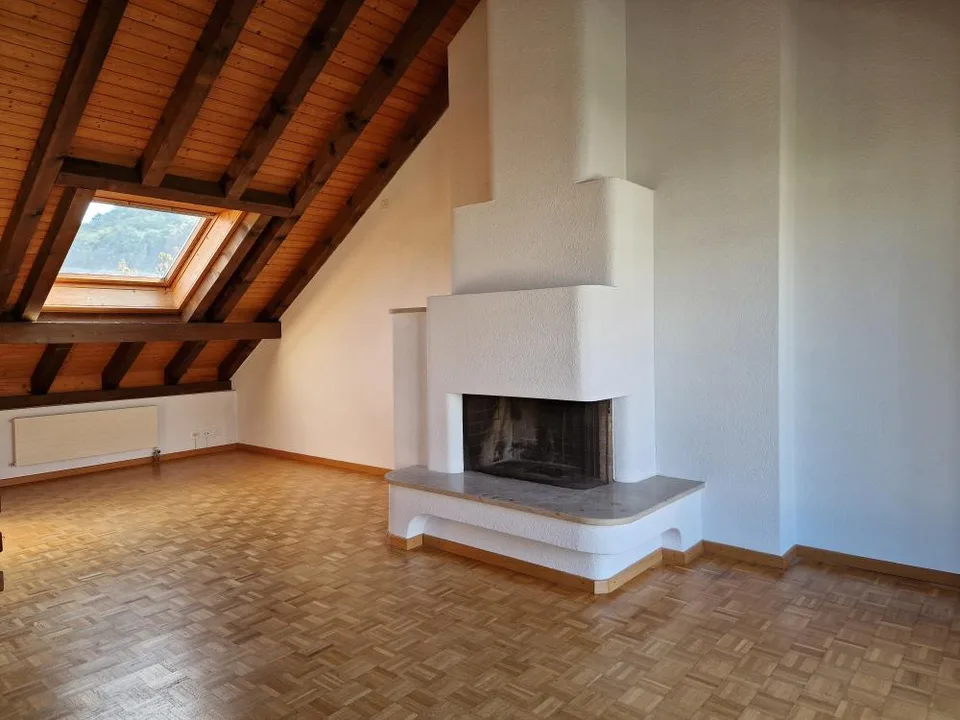 Magnifique appartement en attique maisonnette avec grande terrasse