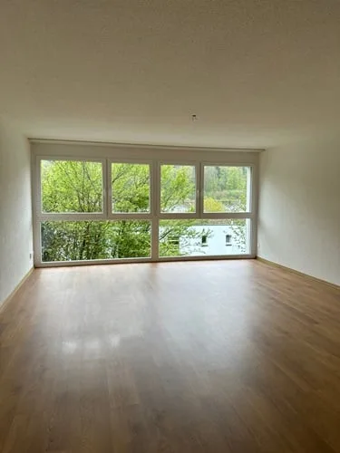 Gemütliche 1.5-Zimmer-Wohnung in Winterthur