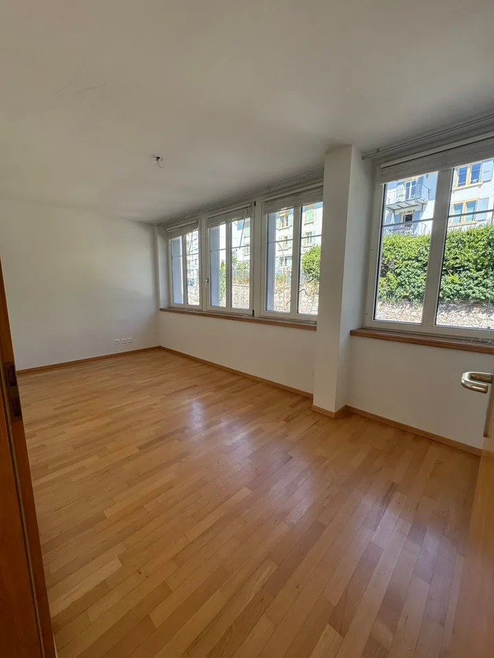 Prachtvolle Wohnung mit Blick auf den See und die Alpen, in der Nähe von ...