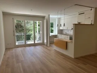 helle, sonnige, ruhige, renovierte 2-Zimmer-Wohnung mit Balkon an ruhiger Lage in Basel