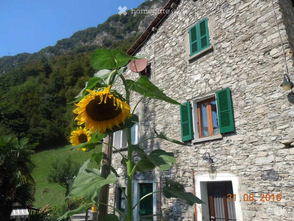 Vendita casa familiare