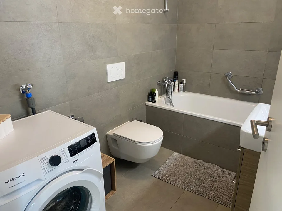 Schönes möbliertes Apartment 2,5 Zimmer im letzten Stock